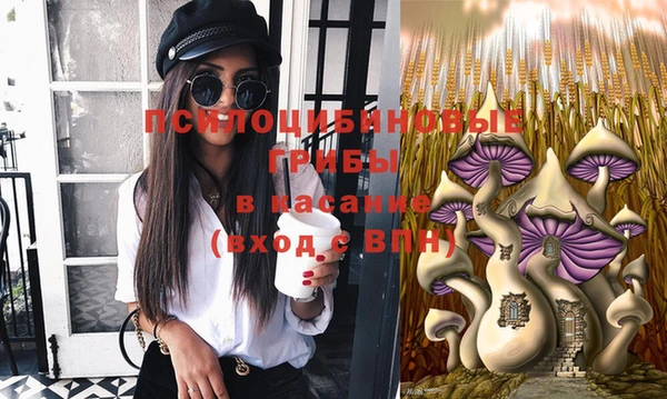 мяу мяу кристалл Осинники