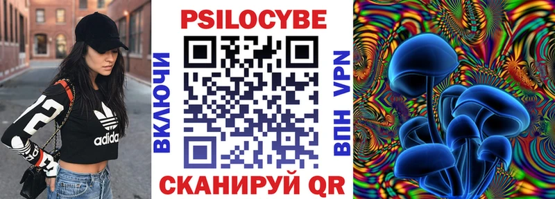 где можно купить   Южноуральск  Галлюциногенные грибы Psilocybe 
