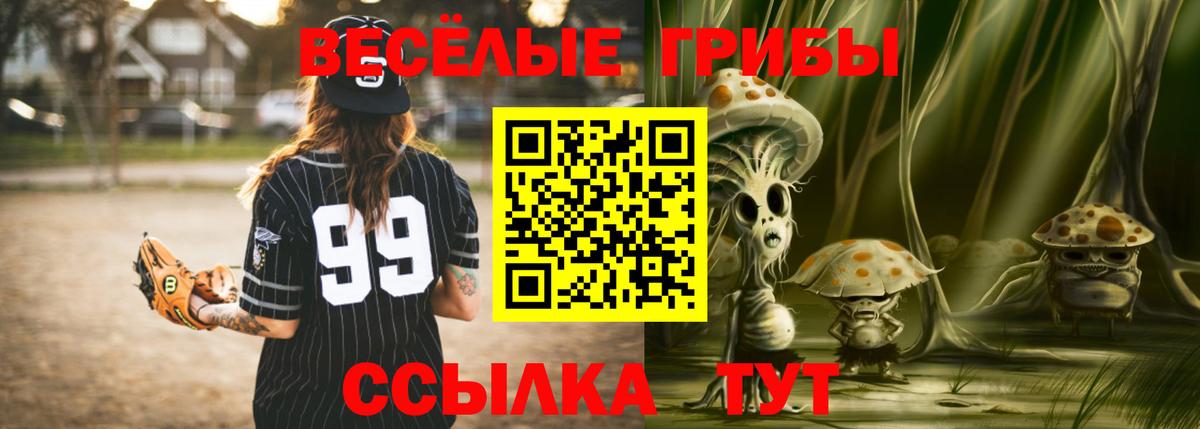 Галлюциногенные грибы Psilocybe  Вход с VPN  Южноуральск 