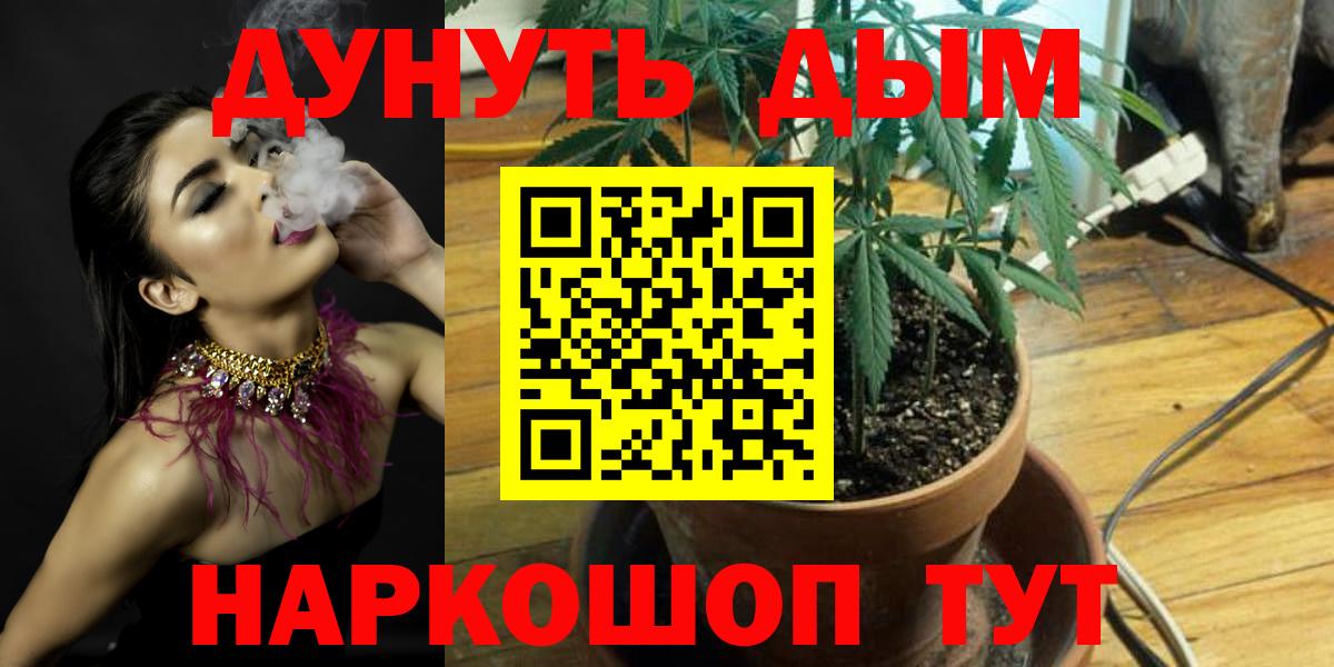 Шишки марихуана Amnesia  Шишки марихуана тримм  Бошки Шишки Amnesia  Вход с VPN  Южноуральск 